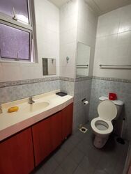 Novena Lodge (D11), Condominium #602724491